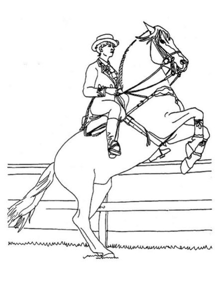Раскраска всадник на лошади
