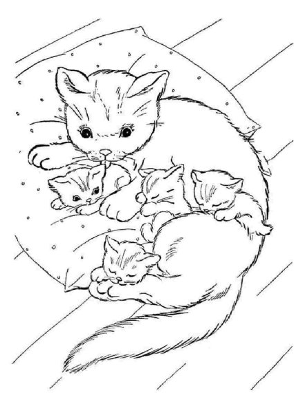 Раскраскамкошка с котенком