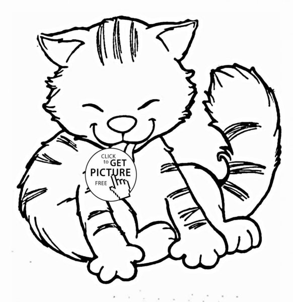 Раскраска кот