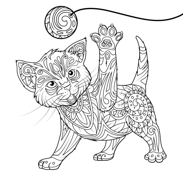 Раскраска. Котики