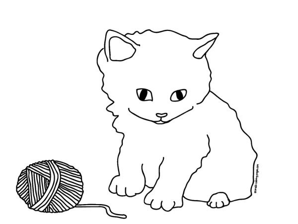 Котенок. Раскраска