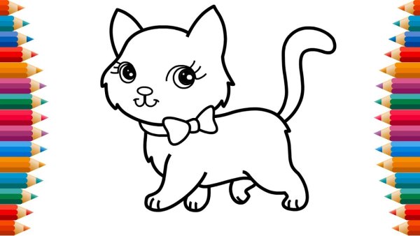 Котик раскраска для детей