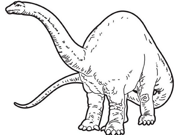 Раскраска динозавр Диплодок