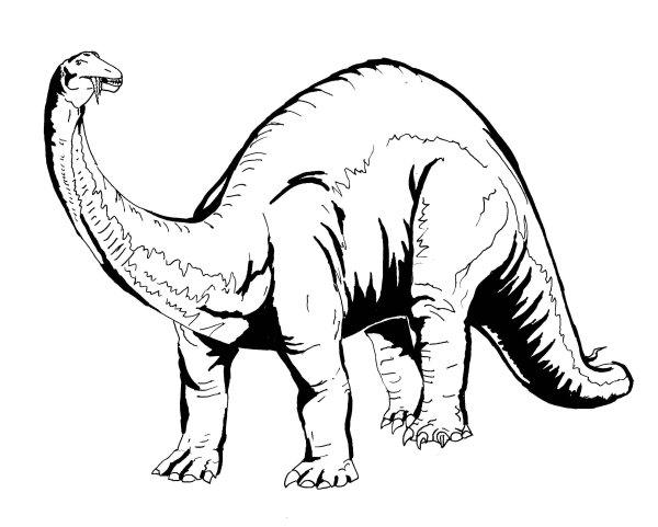 ТЕПЛОТОК раскраска динозавра
