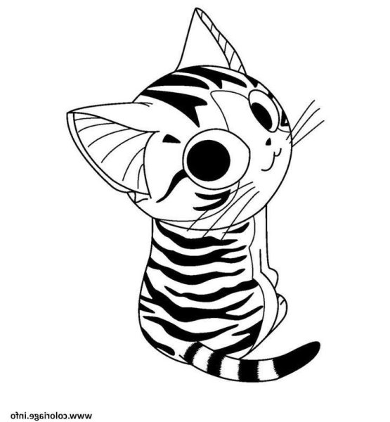 Раскраска котенок Чии