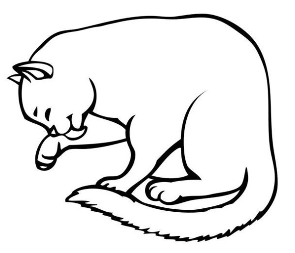Кот умывается раскраска