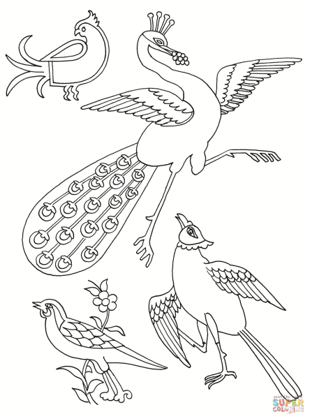 Раскраски разных птиц