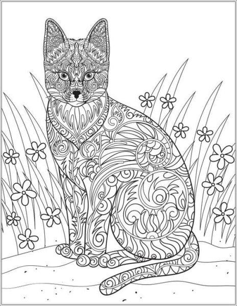 Раскраска. Котики