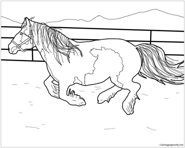 Фризская лошадь раскраска