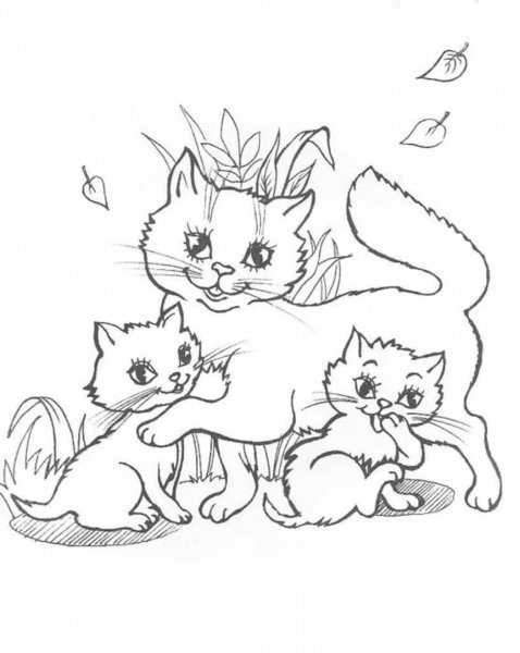 Кошки. Раскраска