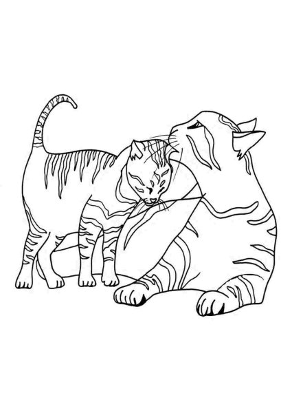 Котенок. Раскраска