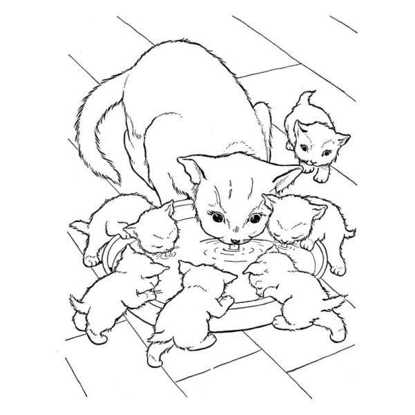 Разукрашки котята