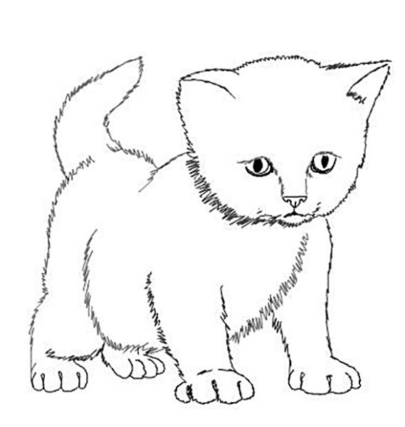 Рисование котенка маленького