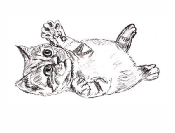 Рисунок Серова кота