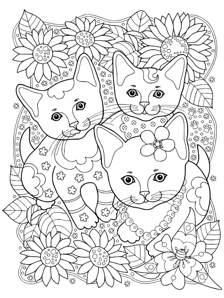 Котенок. Раскраска