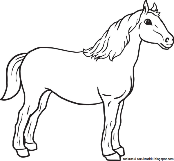 Лошадь раскраска для детей