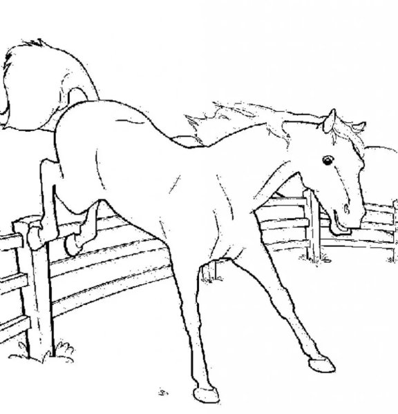Раскраска для девочек лошадь и жеребенок
