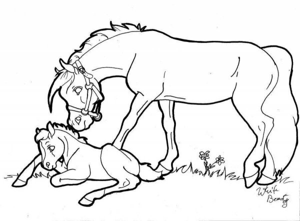 Лошадь с жеребенком раскраска для детей