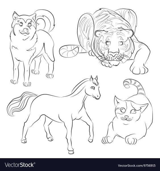 Раскраска кошка собака лошадь