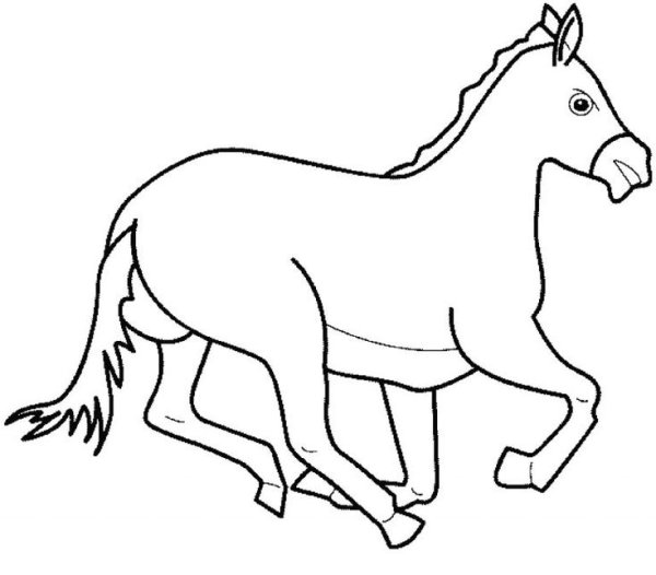 Конь раскраска для детей
