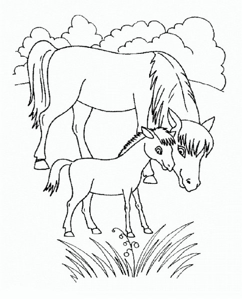 Лошадь с жеребенком раскраска для детей