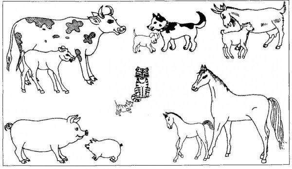 Дикие и домашние животные раскраска