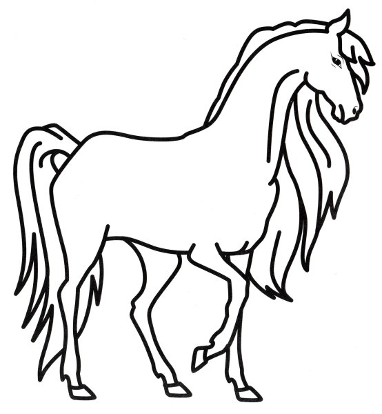 Раскраска лошадка с гривой