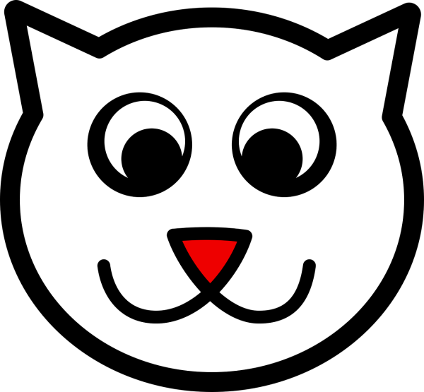 Мордочка кошечки