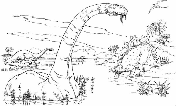 Бронтозавр динозавр раскраска