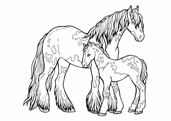 Раскраска лошадка с жеребенком