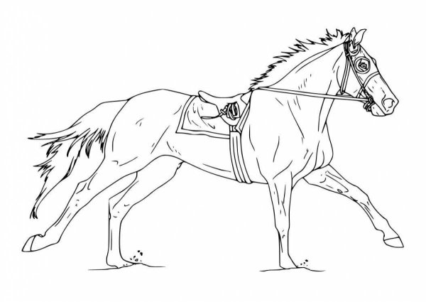 Лошадь скачет раскраска