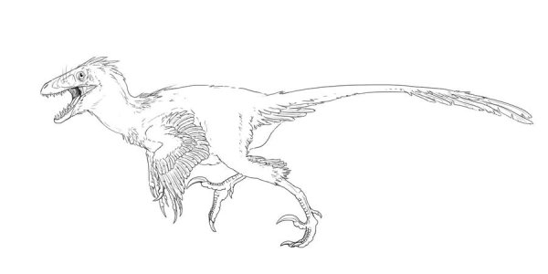 Ютараптор динозавр раскраска