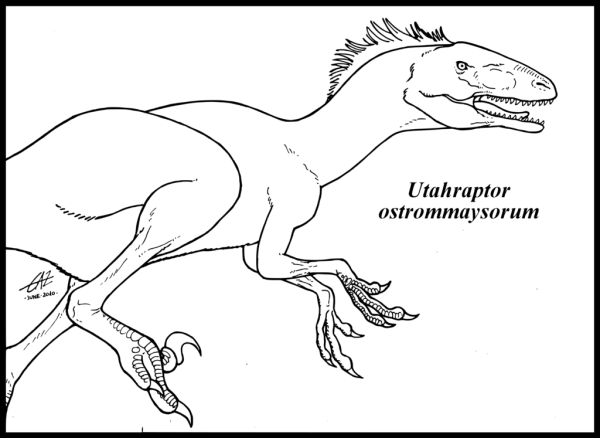 Ютараптор динозавр раскраска