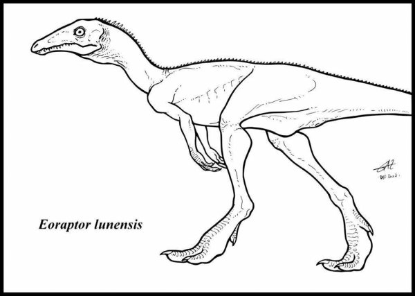 Раскраски ютараптор динозавр (46 фото)