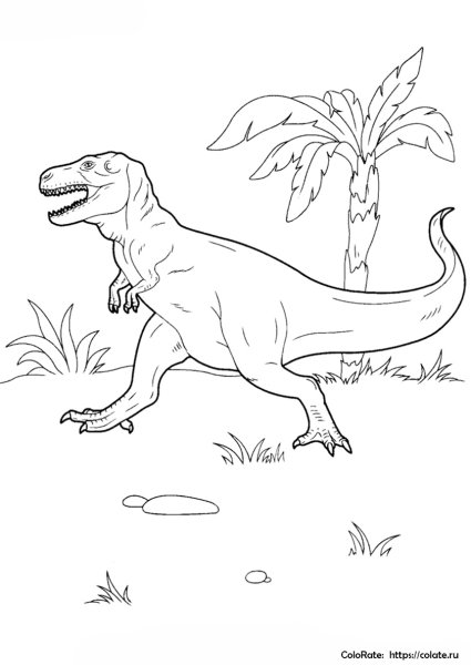 Раскраски динозавры Тиранозавр