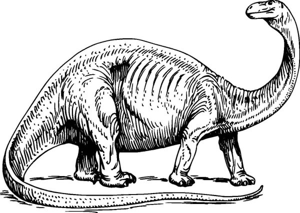 Бронтозавр палеонтология