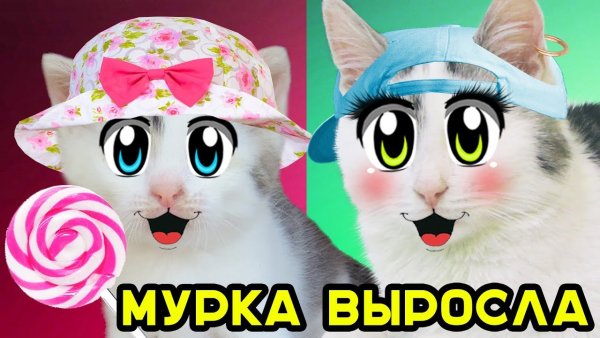 А ну ка давайка