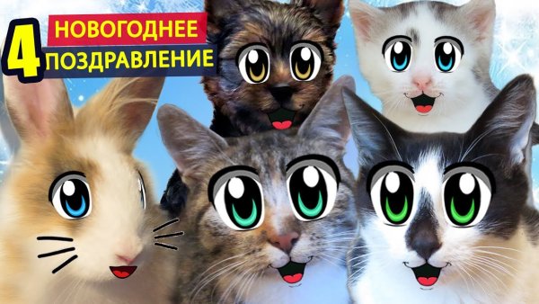 Кот малыш с канала а ну ка давай ка