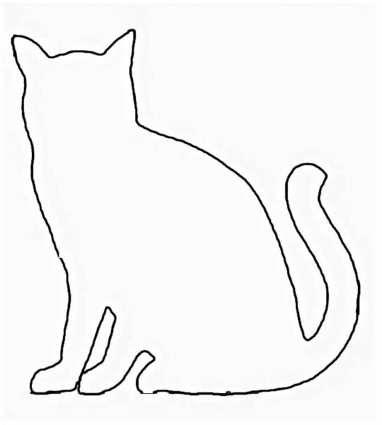 Контур кота сзади