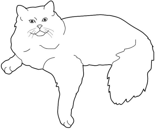 Шаблон кошки для рисования