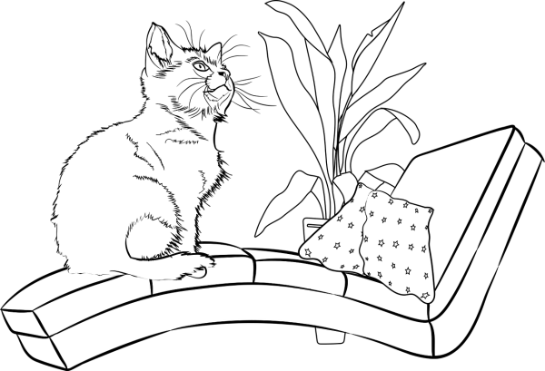 Котенок. Раскраска