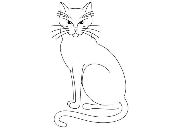 Раскраска кот