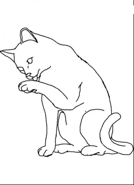 Нарисовать сидящего кота