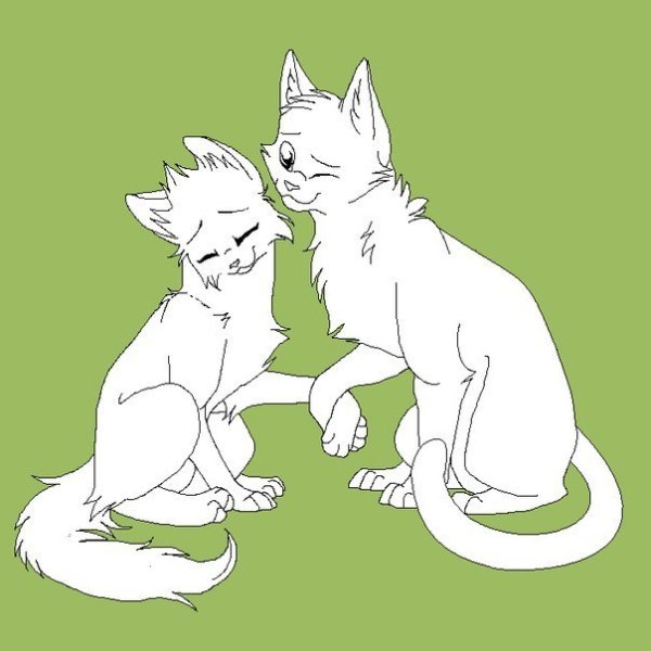 Коты Воители парочки лайн