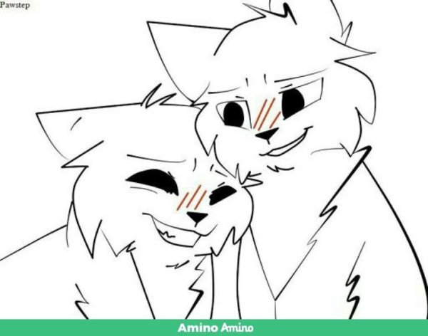 Коты Воители лайны Амино пары