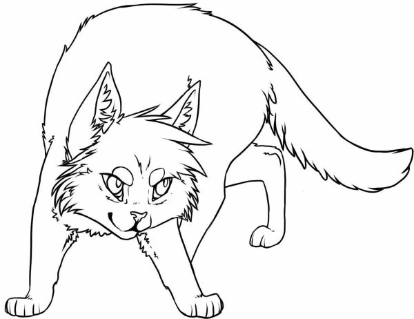 Коты Воители разукрашивать
