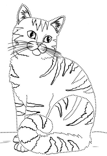 Раскраска кошка для детей 6-7 лет