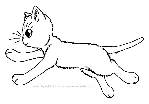 Кошка бежит раскраска