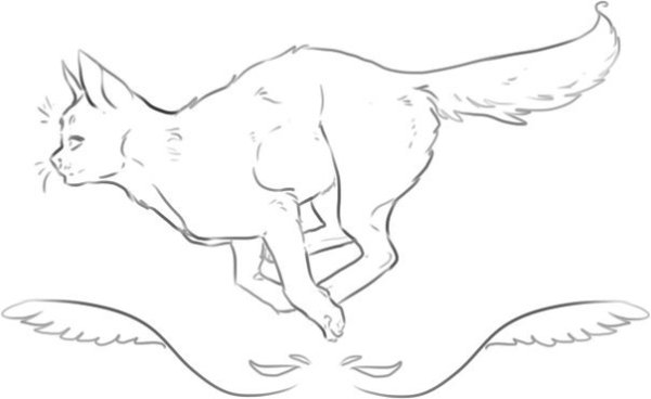 Бегущий кот рисунок карандашом