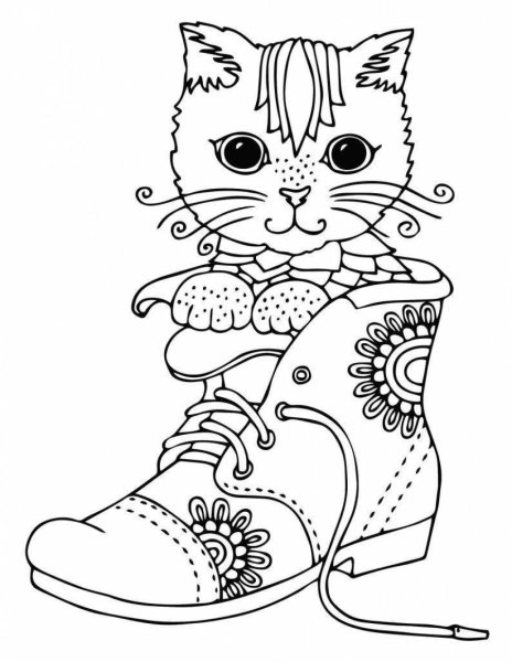 Раскраска котик с одеждой